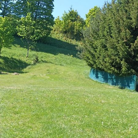 Apartamenty Sowianka Ludwikowice Klodzkie Bagian luar foto