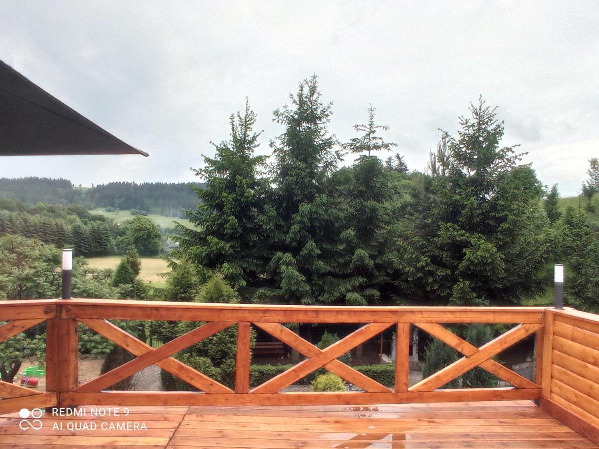 Apartamenty Sowianka Ludwikowice Klodzkie Bagian luar foto