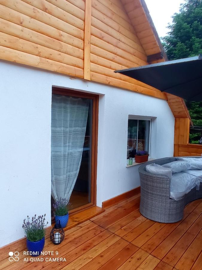 Apartamenty Sowianka Ludwikowice Klodzkie Bagian luar foto