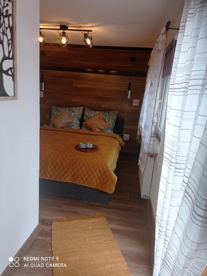 Apartamenty Sowianka Ludwikowice Klodzkie Bagian luar foto