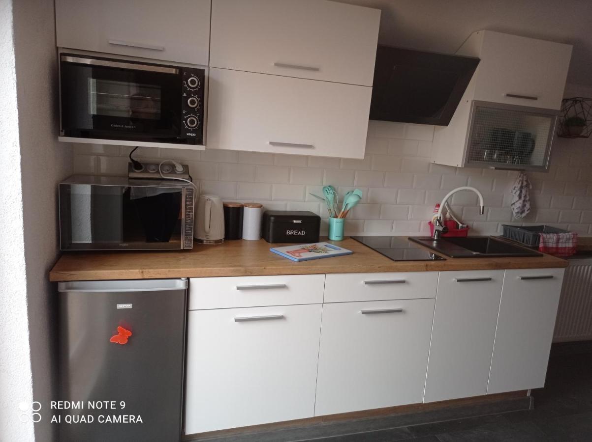 Apartamenty Sowianka Ludwikowice Klodzkie Bagian luar foto