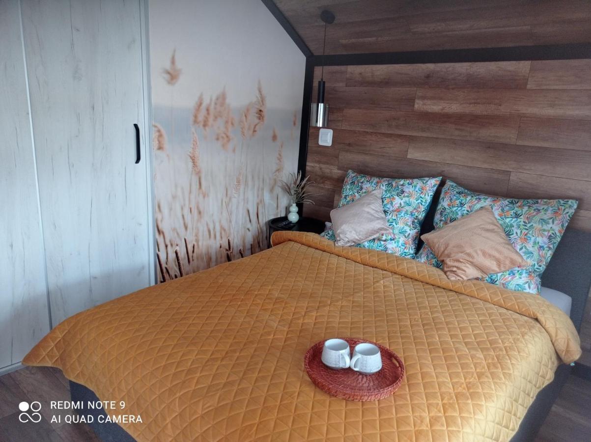 Apartamenty Sowianka Ludwikowice Klodzkie Bagian luar foto