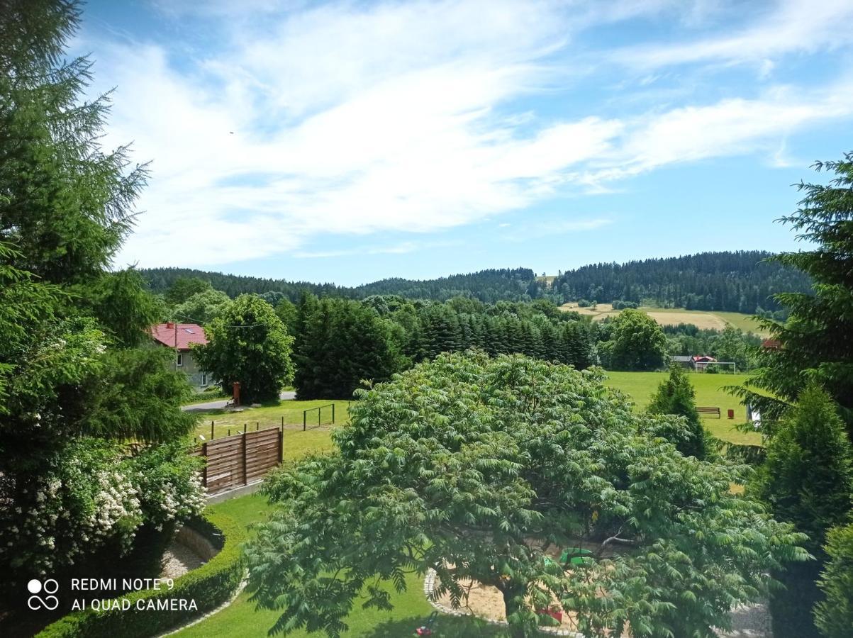 Apartamenty Sowianka Ludwikowice Klodzkie Bagian luar foto