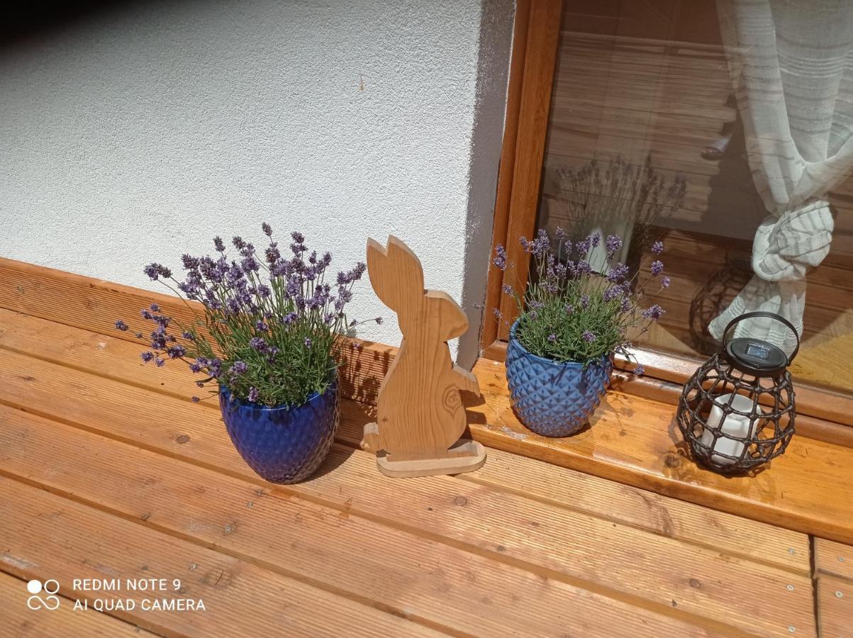 Apartamenty Sowianka Ludwikowice Klodzkie Bagian luar foto