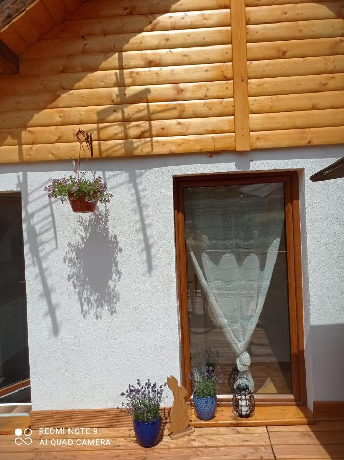 Apartamenty Sowianka Ludwikowice Klodzkie Bagian luar foto